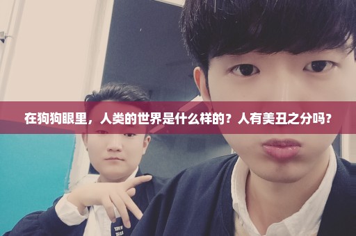 在狗狗眼里，人类的世界是什么样的？人有美丑之分吗？