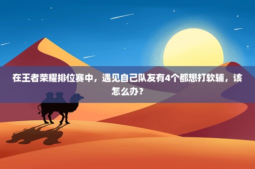 在王者荣耀排位赛中，遇见自己队友有4个都想打软辅，该怎么办？