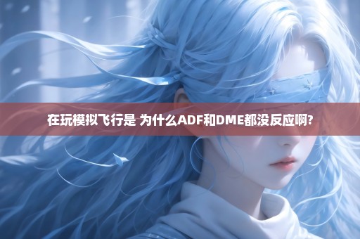 在玩模拟飞行是 为什么ADF和DME都没反应啊?