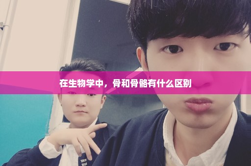 在生物学中，骨和骨骼有什么区别