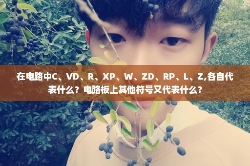 在电路中C、VD、R、XP、W、ZD、RP、L、Z,各自代表什么？电路板上其他符号又代表什么？
