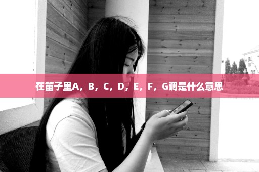 在笛子里A，B，C，D，E，F，G调是什么意思