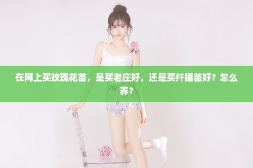 在网上买玫瑰花苗，是买老庄好，还是买扦插苗好？怎么养？
