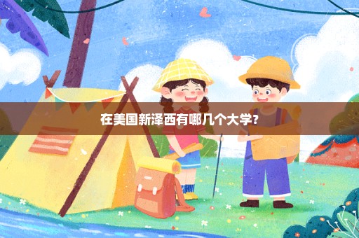 在美国新泽西有哪几个大学？