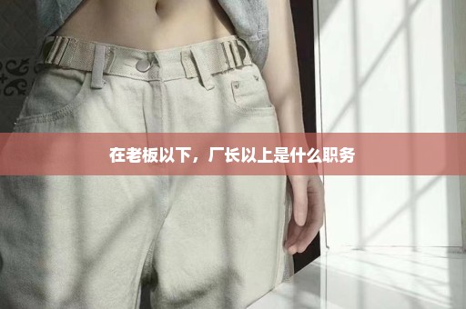 在老板以下，厂长以上是什么职务