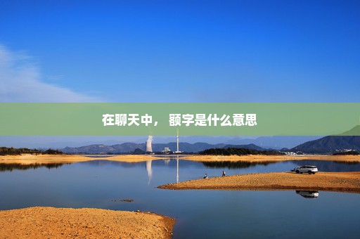在聊天中， 额字是什么意思