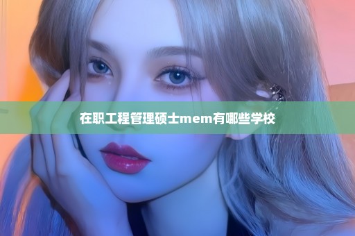 在职工程管理硕士mem有哪些学校