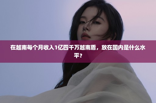 在越南每个月收入1亿四千万越南盾，放在国内是什么水平？
