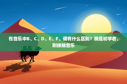 在音乐中B、C、D、E、F、调有什么区别？我是初学者，刚接触音乐