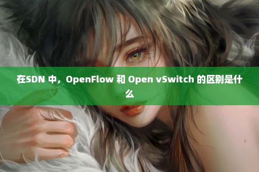 在SDN 中，OpenFlow 和 Open vSwitch 的区别是什么