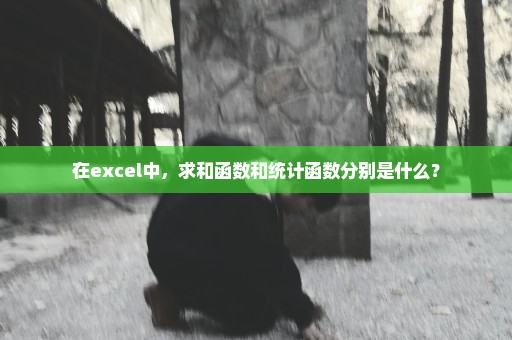 在excel中，求和函数和统计函数分别是什么？