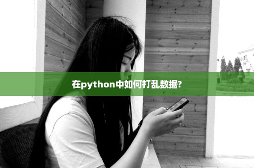 在python中如何打乱数据?