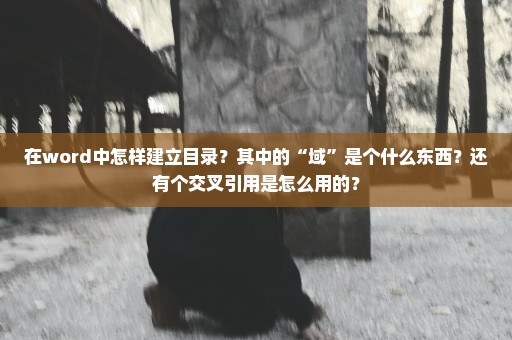 在word中怎样建立目录？其中的“域”是个什么东西？还有个交叉引用是怎么用的？