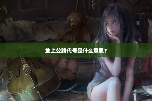 地上公路代号是什么意思？