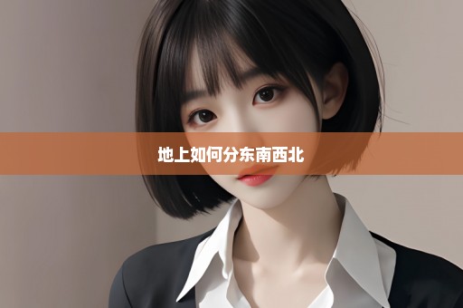 地上如何分东南西北