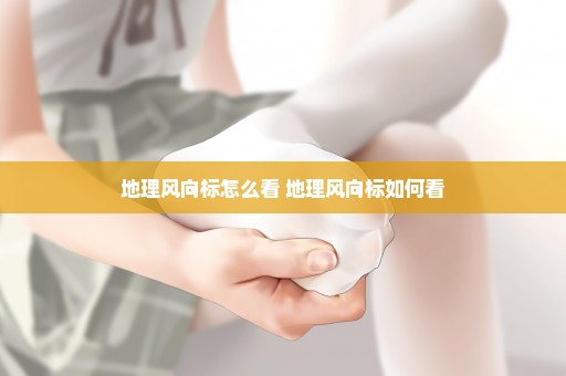 地理风向标怎么看 地理风向标如何看