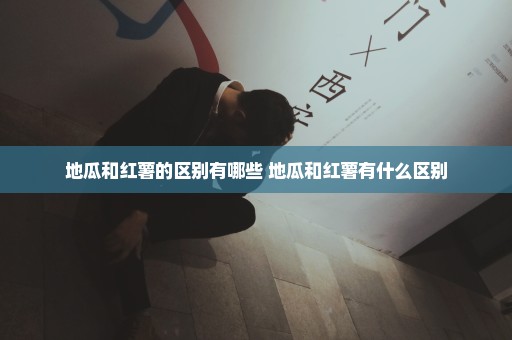 地瓜和红薯的区别有哪些 地瓜和红薯有什么区别