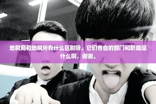 地税局和地税所有什么区别呀，它们各自的部门和职能是什么啊，谢谢。