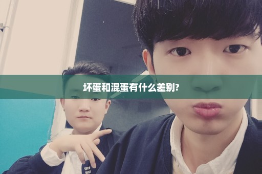 坏蛋和混蛋有什么差别?