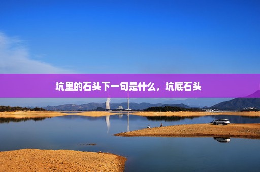坑里的石头下一句是什么，坑底石头 