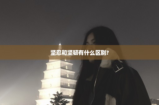 坚忍和坚韧有什么区别?