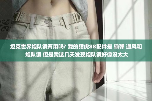 坦克世界炮队镜有用吗? 我的猎虎88配件是 输弹 通风和 炮队镜 但是我这几天发现炮队镜好像没太大