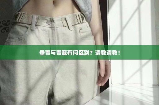 垂青与青睐有何区别？请教请教！