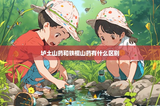垆土山药和铁棍山药有什么区别