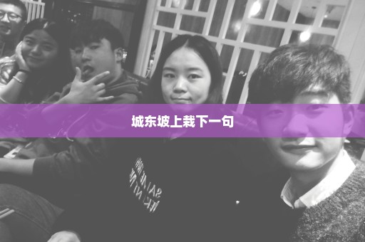 城东坡上栽下一句