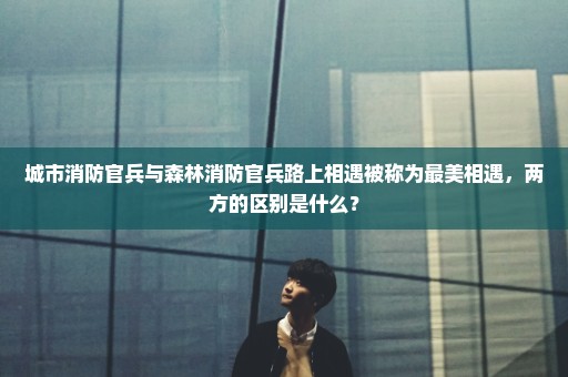 城市消防官兵与森林消防官兵路上相遇被称为最美相遇，两方的区别是什么？
