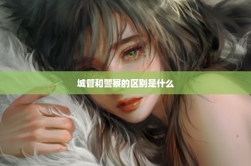 城管和警察的区别是什么