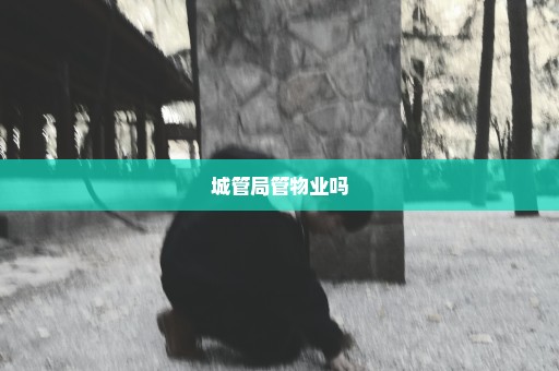 城管局管物业吗