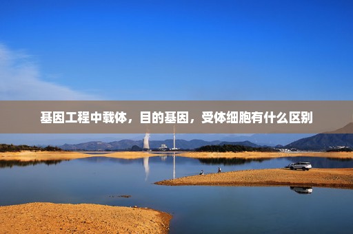 基因工程中载体，目的基因，受体细胞有什么区别