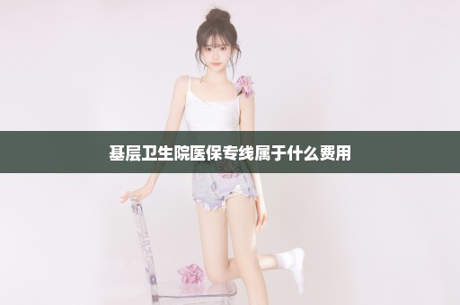 基层卫生院医保专线属于什么费用