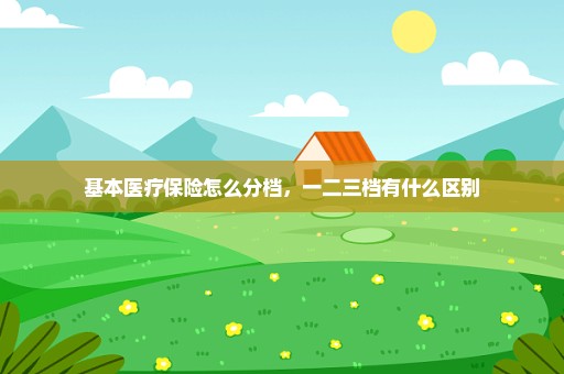 基本医疗保险怎么分档，一二三档有什么区别