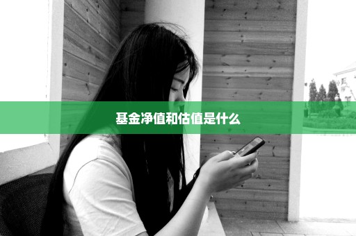 基金净值和估值是什么