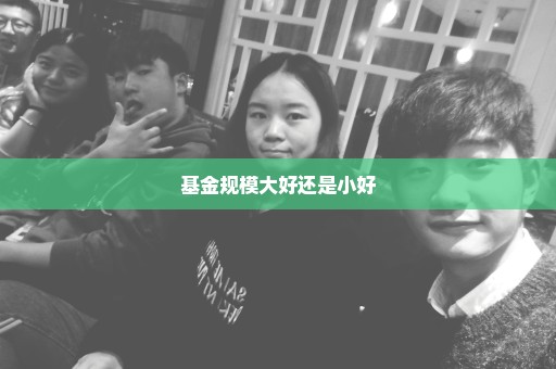 基金规模大好还是小好