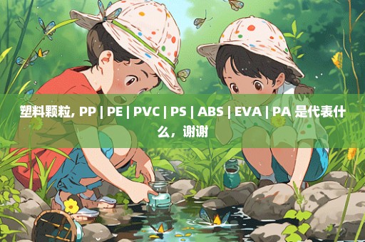 塑料颗粒, PP | PE | PVC | PS | ABS | EVA | PA 是代表什么，谢谢