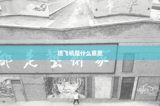 塔飞机是什么意思