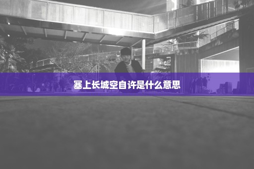 塞上长城空自许是什么意思