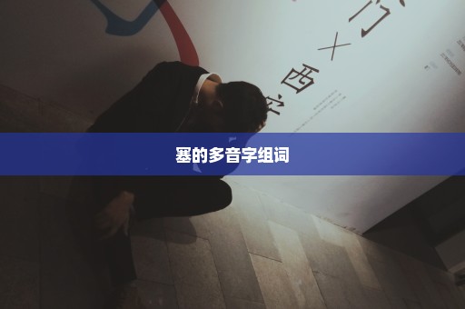 塞的多音字组词