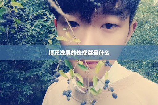 填充涂层的快捷键是什么