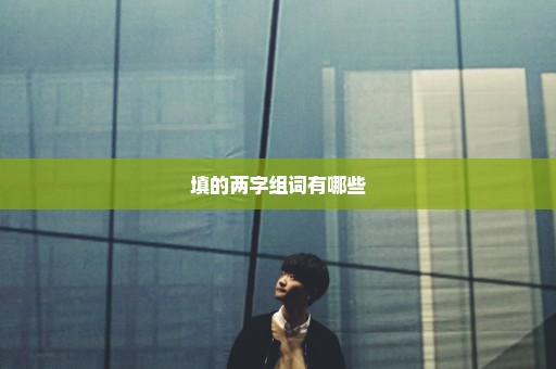 填的两字组词有哪些