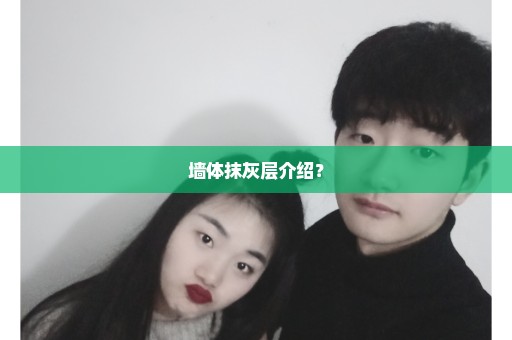 墙体抹灰层介绍？