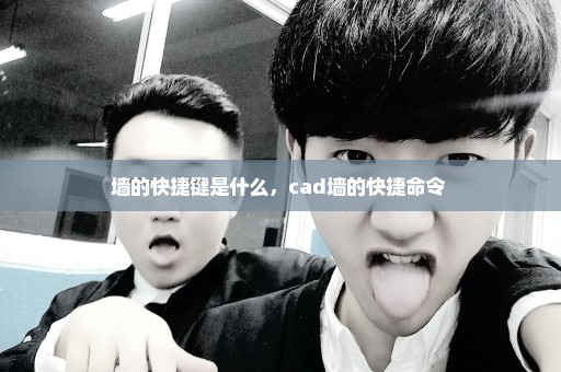 墙的快捷键是什么，cad墙的快捷命令 