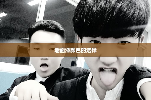 墙面漆颜色的选择