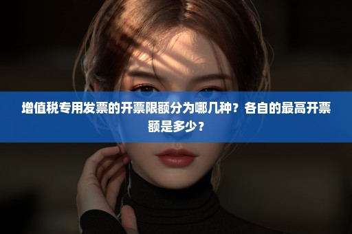 增值税专用发票的开票限额分为哪几种？各自的最高开票额是多少？