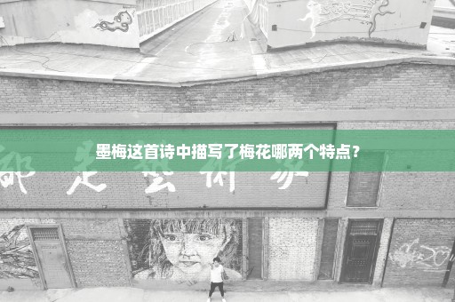 墨梅这首诗中描写了梅花哪两个特点？