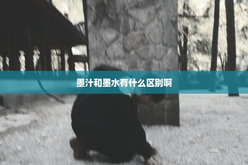墨汁和墨水有什么区别啊