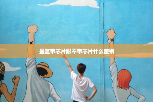 墨盒带芯片跟不带芯片什么差别